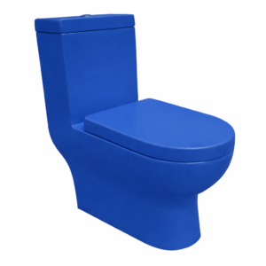 Sanitario Azul